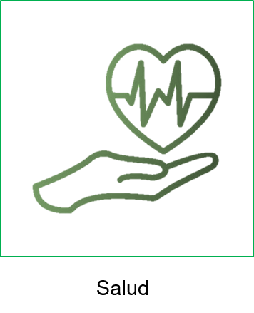 Ico-Salud.png