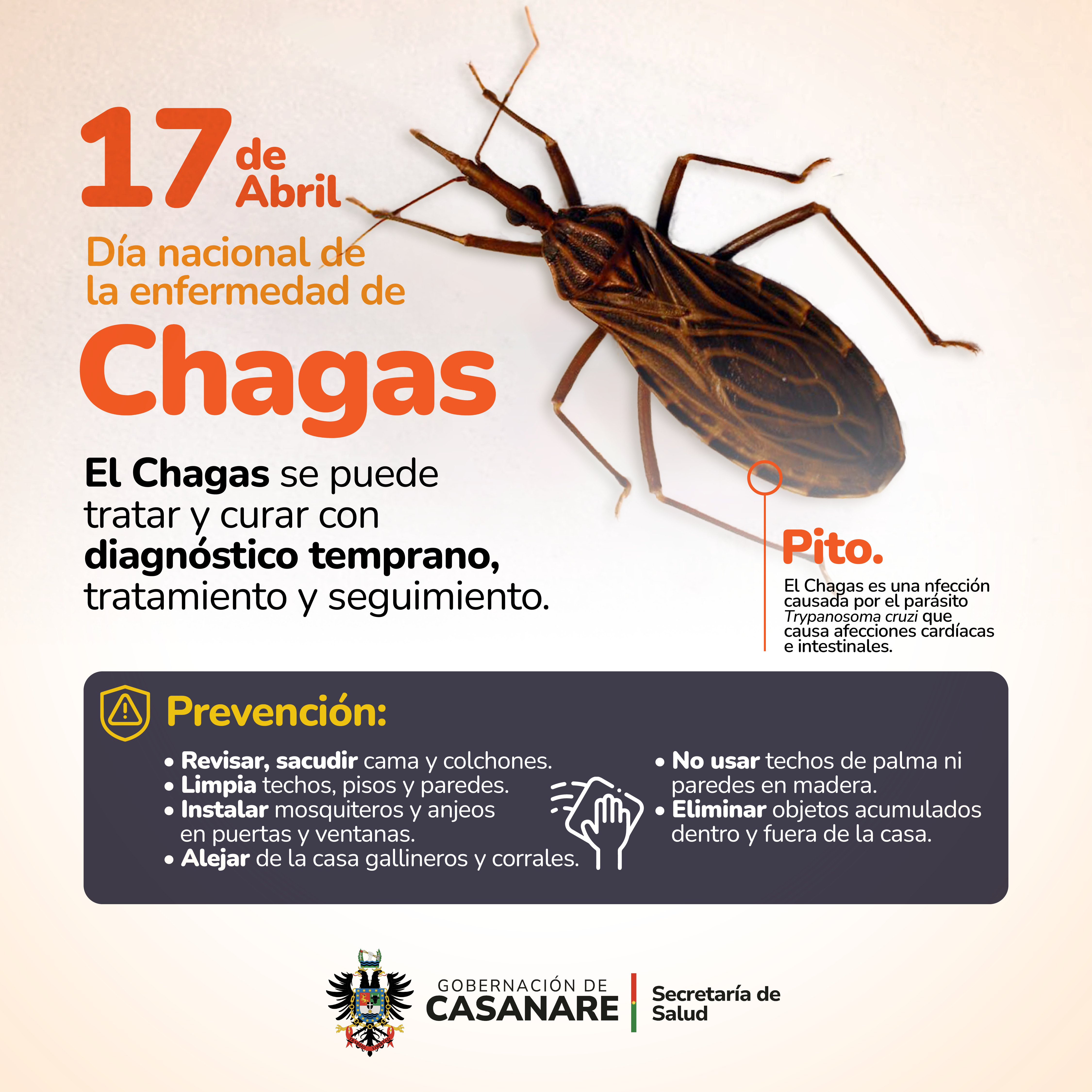 Enfermedad de Chagas: un llamado a la conciencia y prevención en Colombia